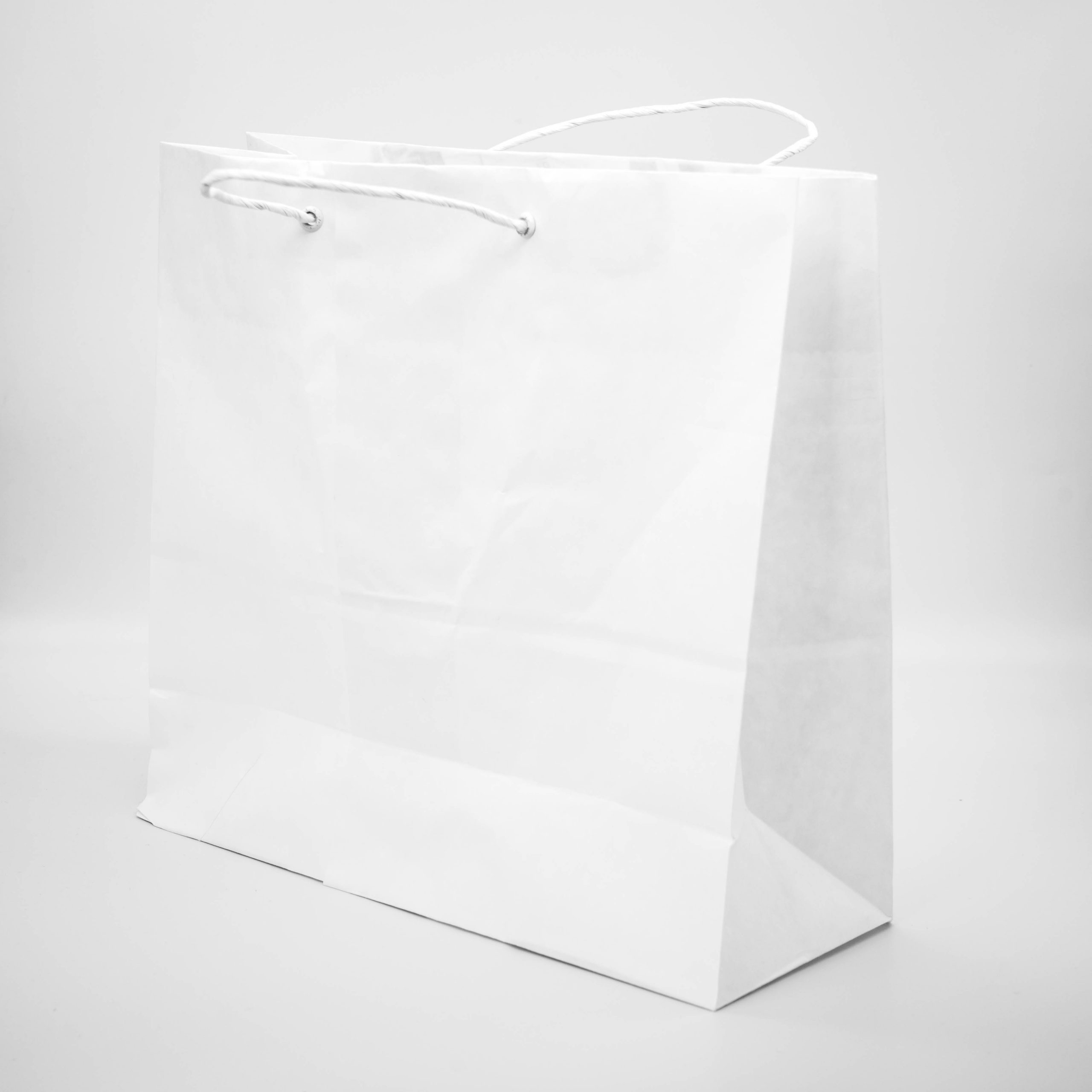 Bolsas de Papel Kraft, Blanco y simple, pequeño y grande - Bolsas de papel  Kraft al por mayor con asas Tipos